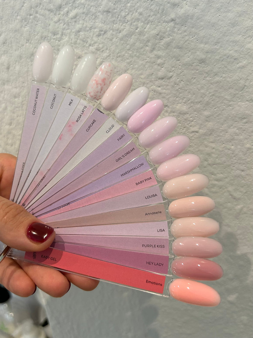 color palette
