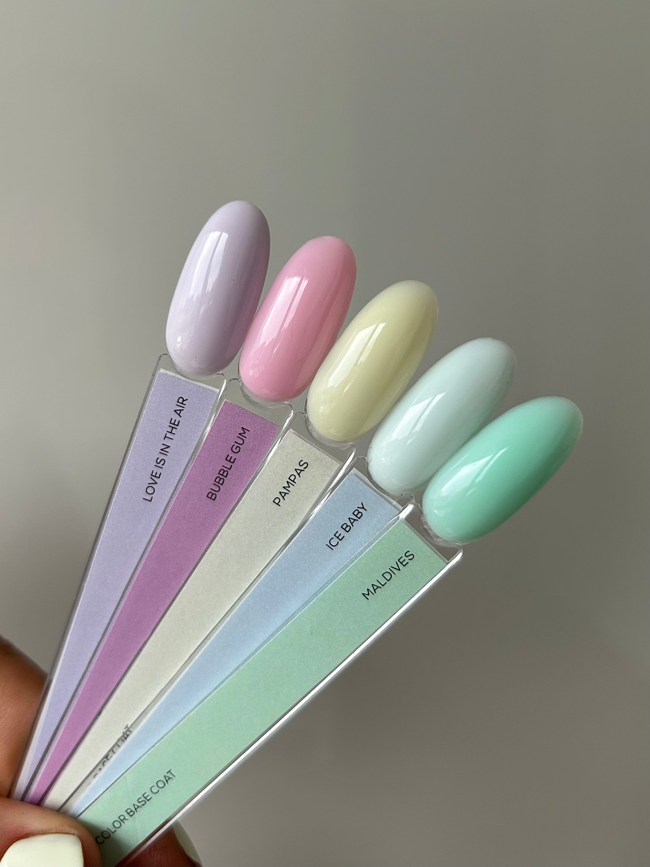 color palette