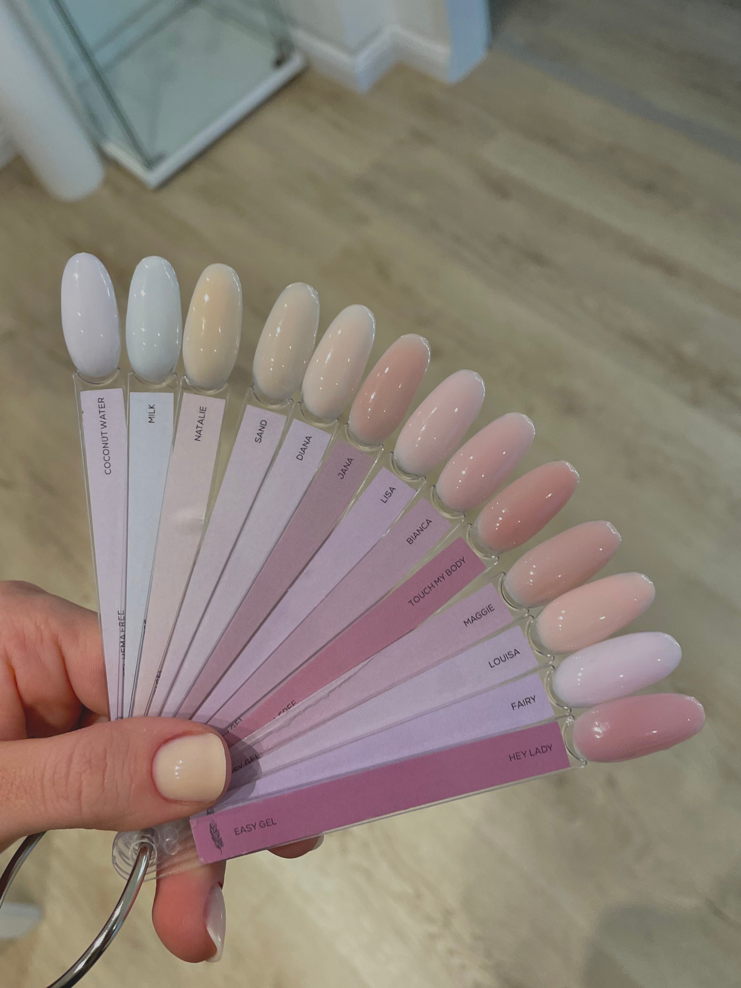 color palette