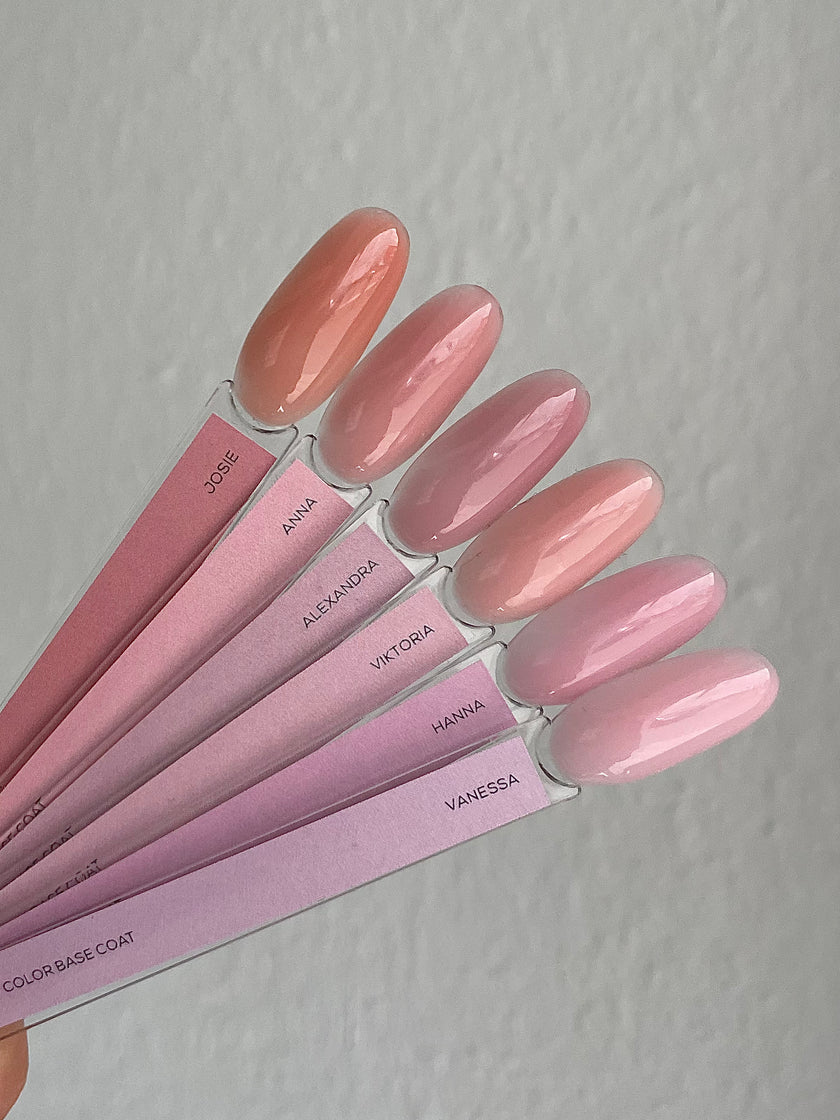 color palette
