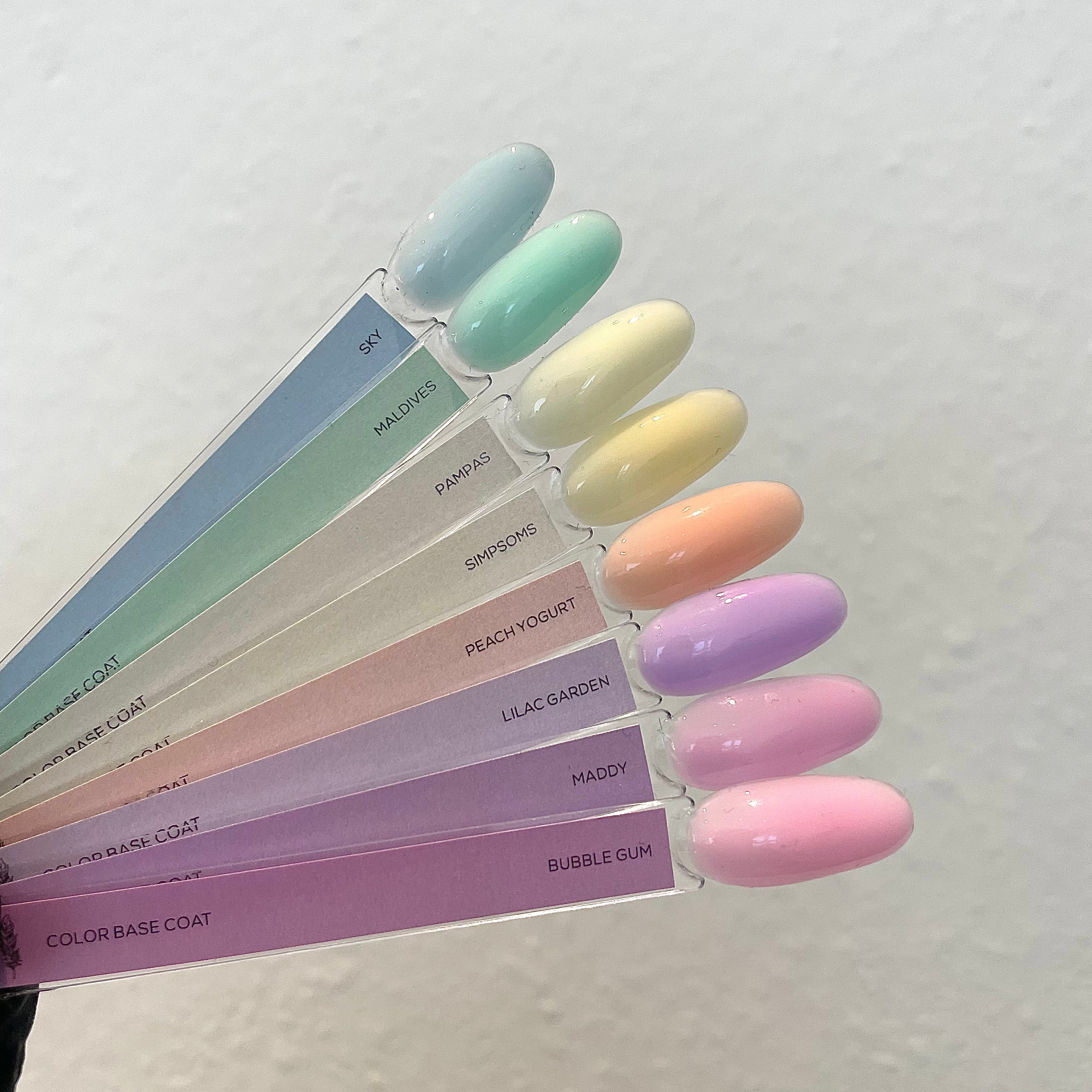 color palette