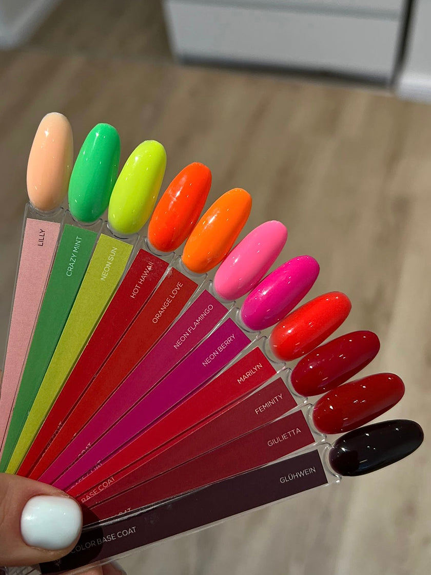 color palette