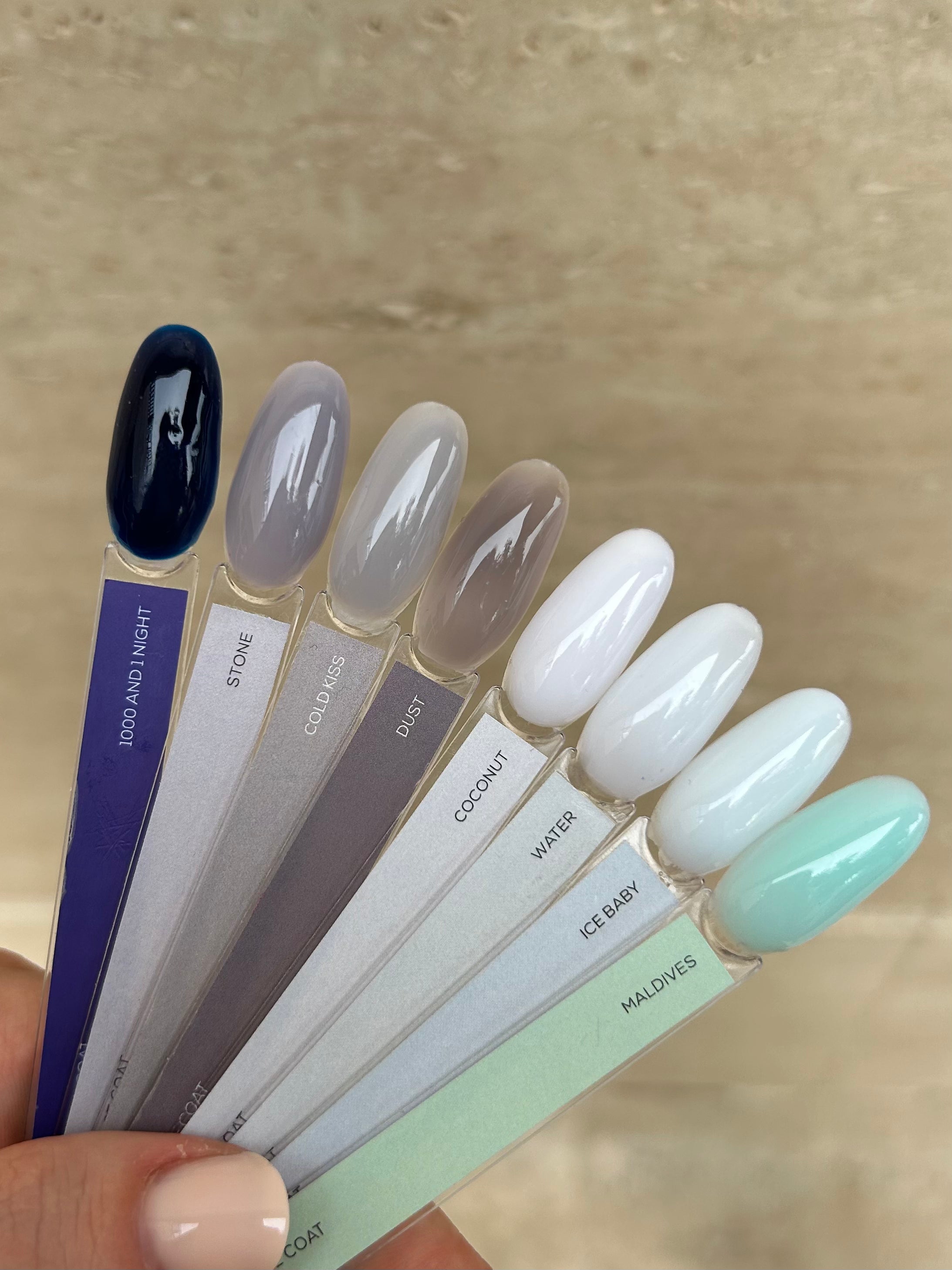 color palette