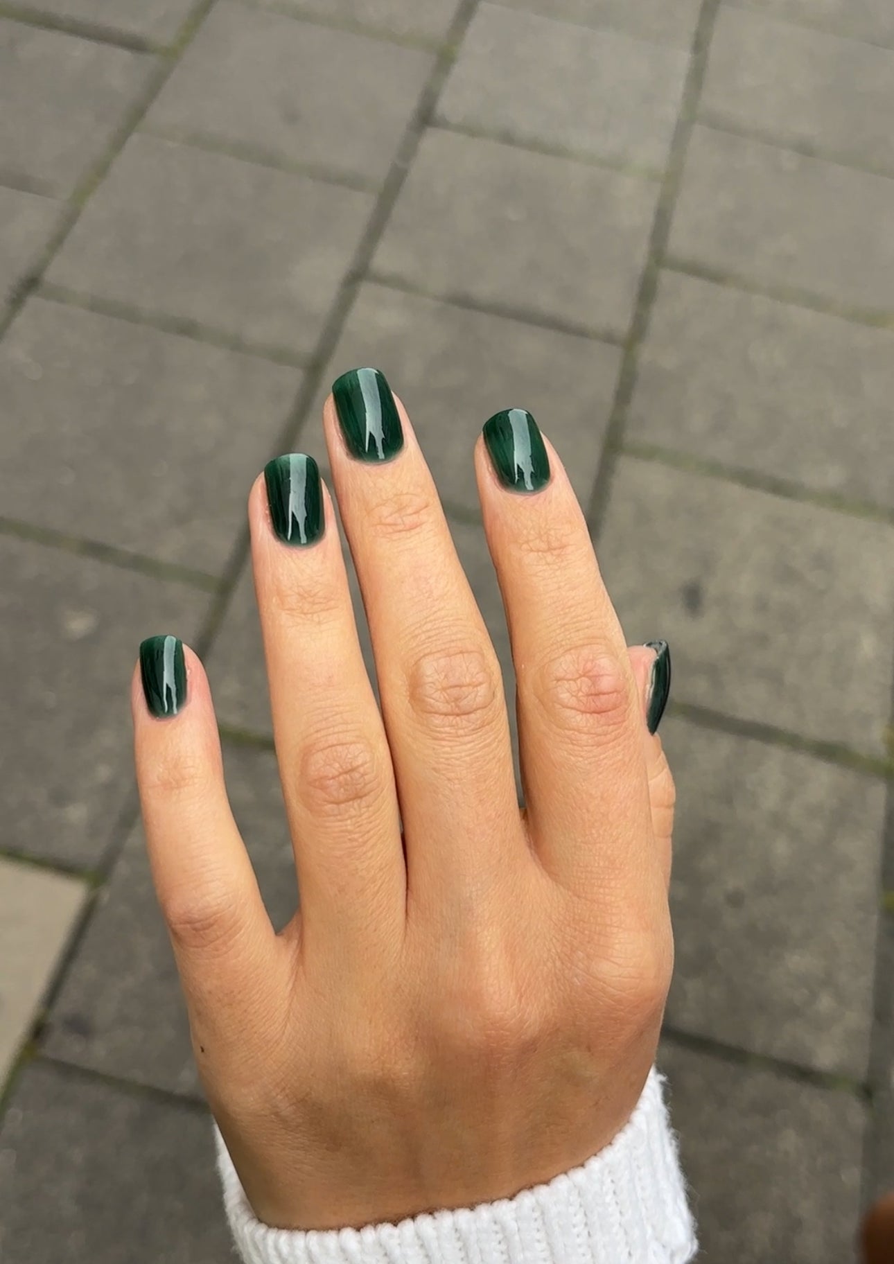 THE COLOR TO BUILD ''Nori''