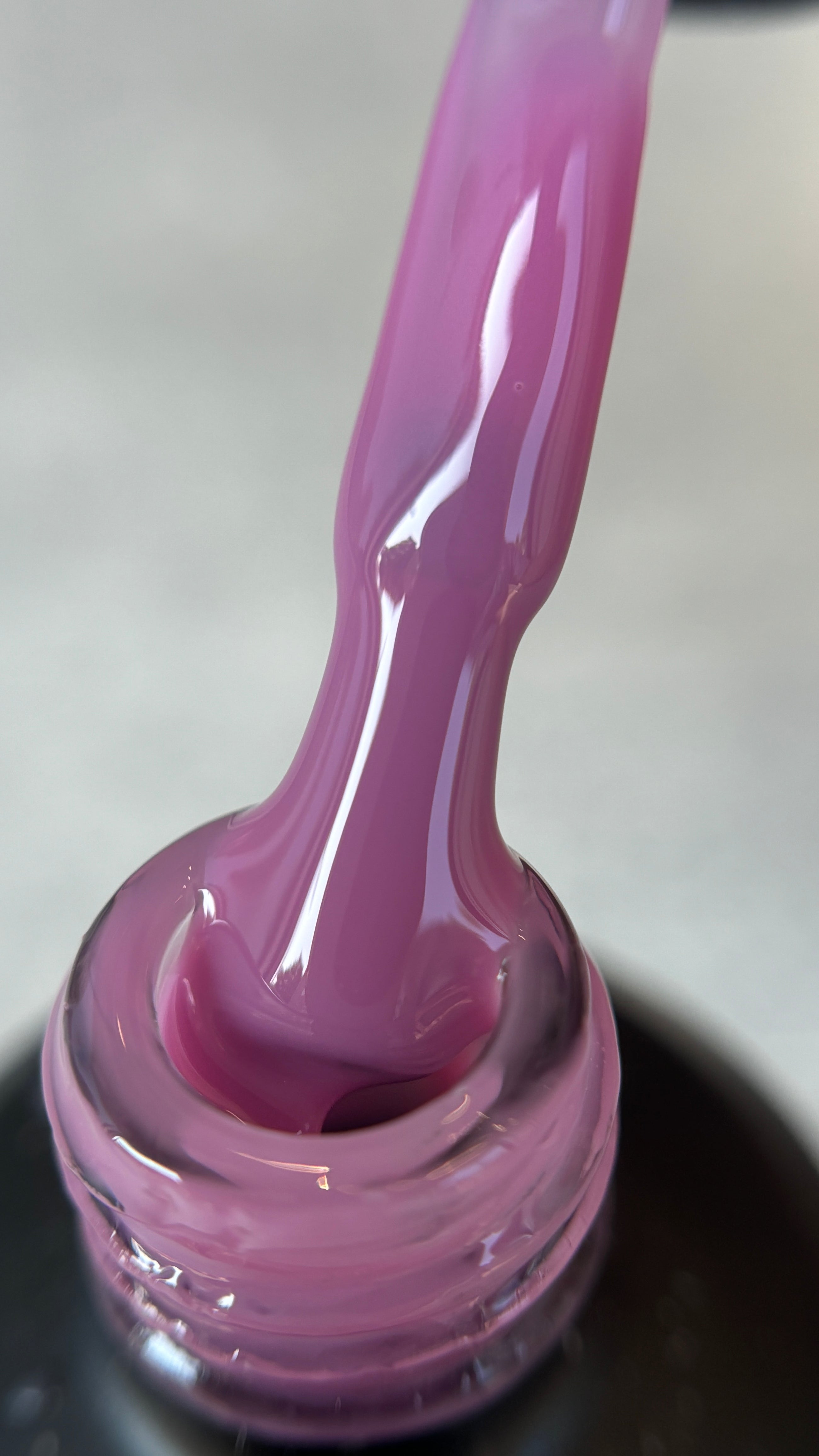 PRO Base “Blueberry Sorbet”