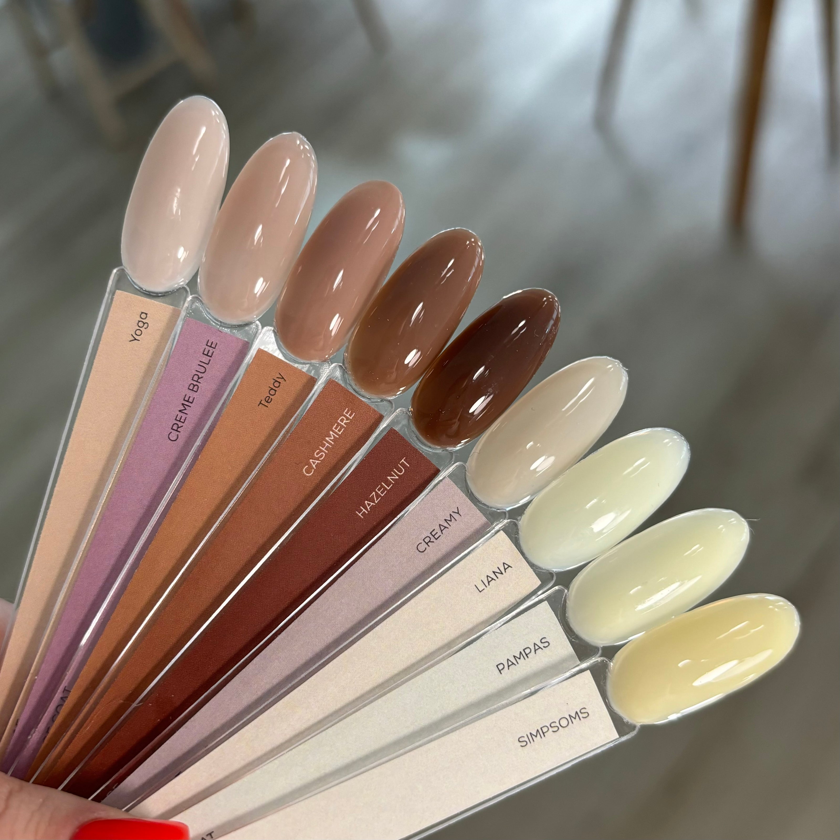 color palette