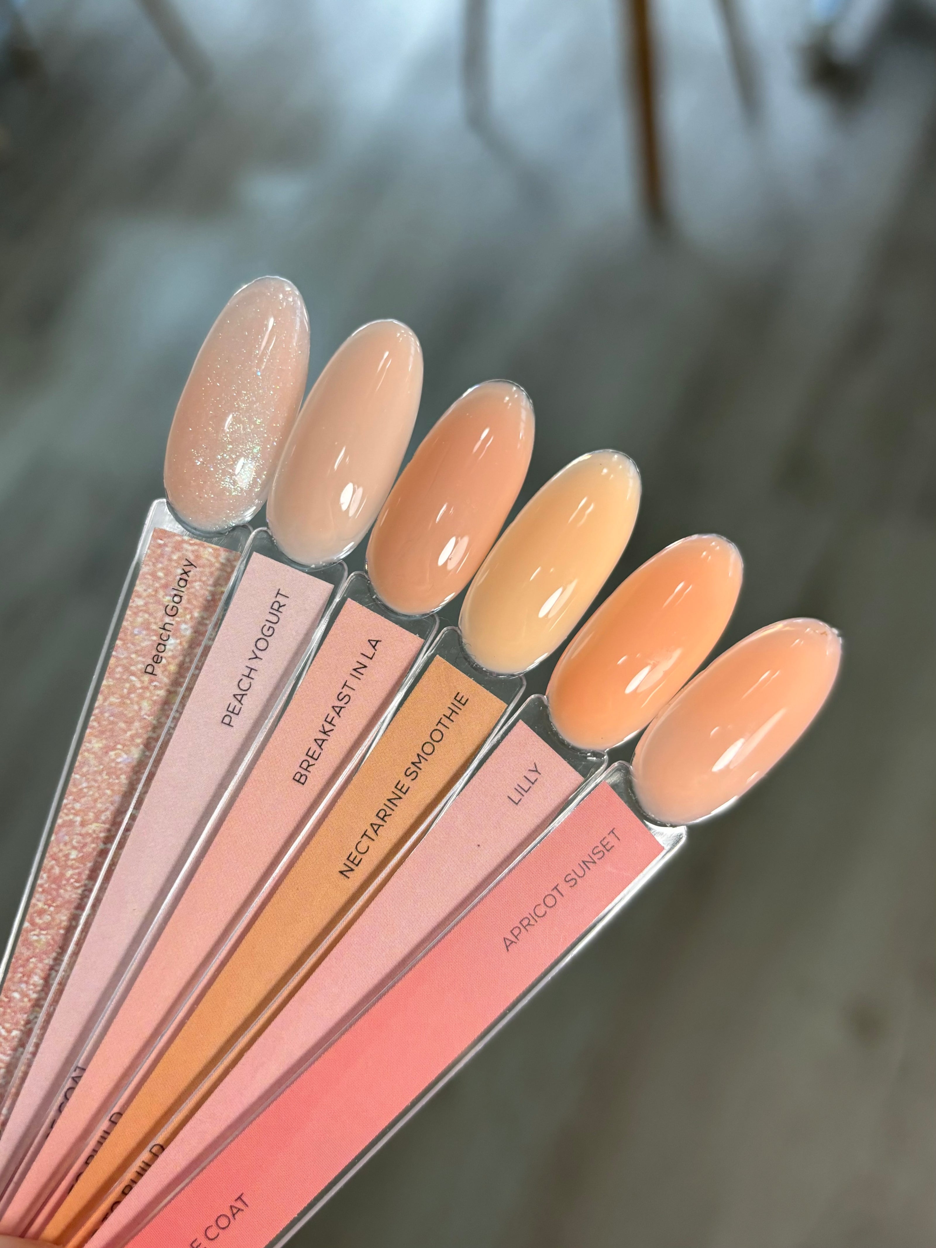 color palette