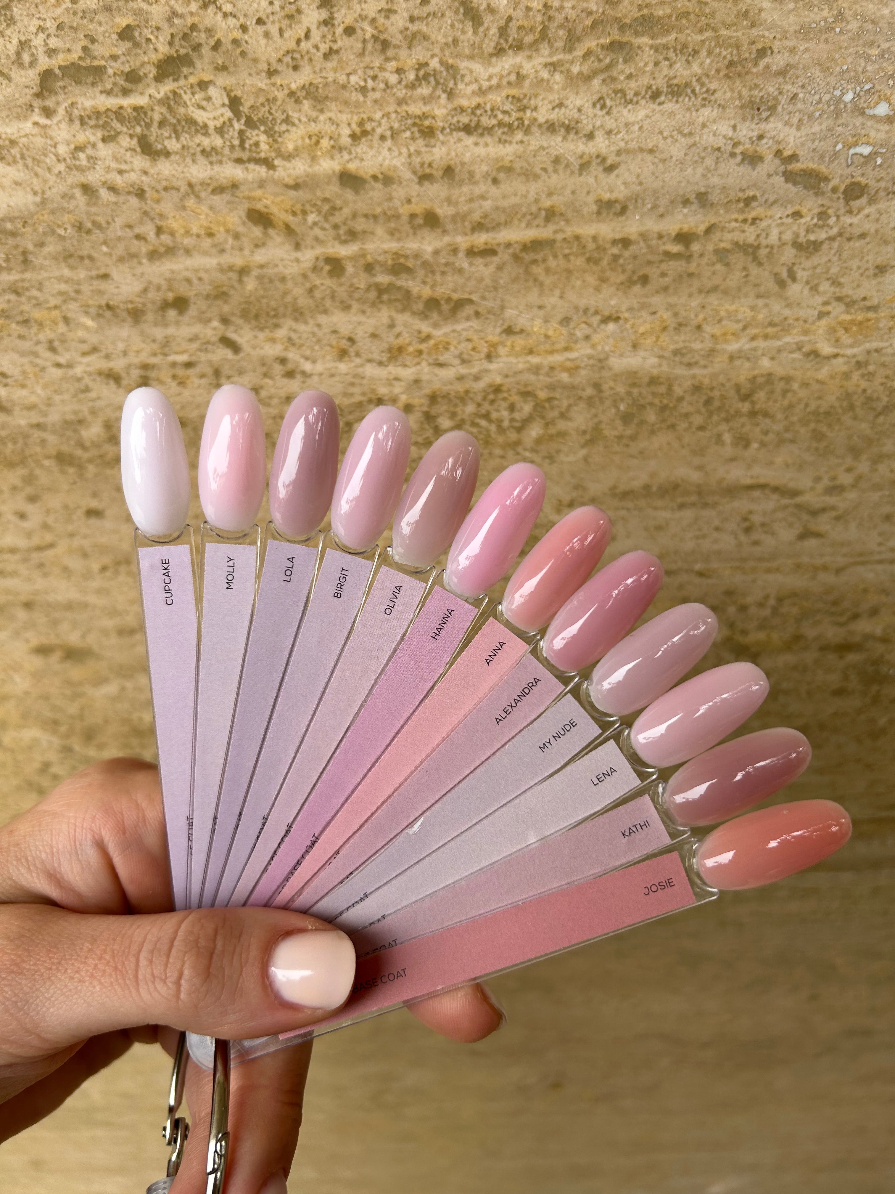 color palette