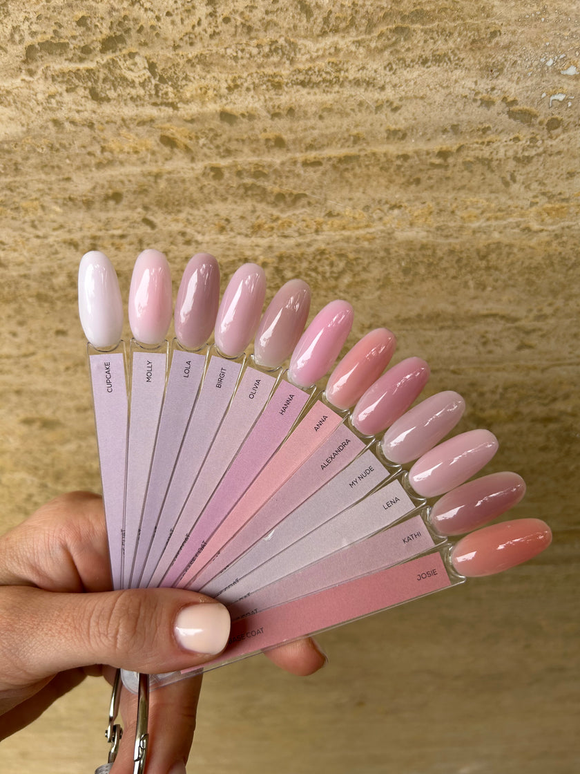 color palette
