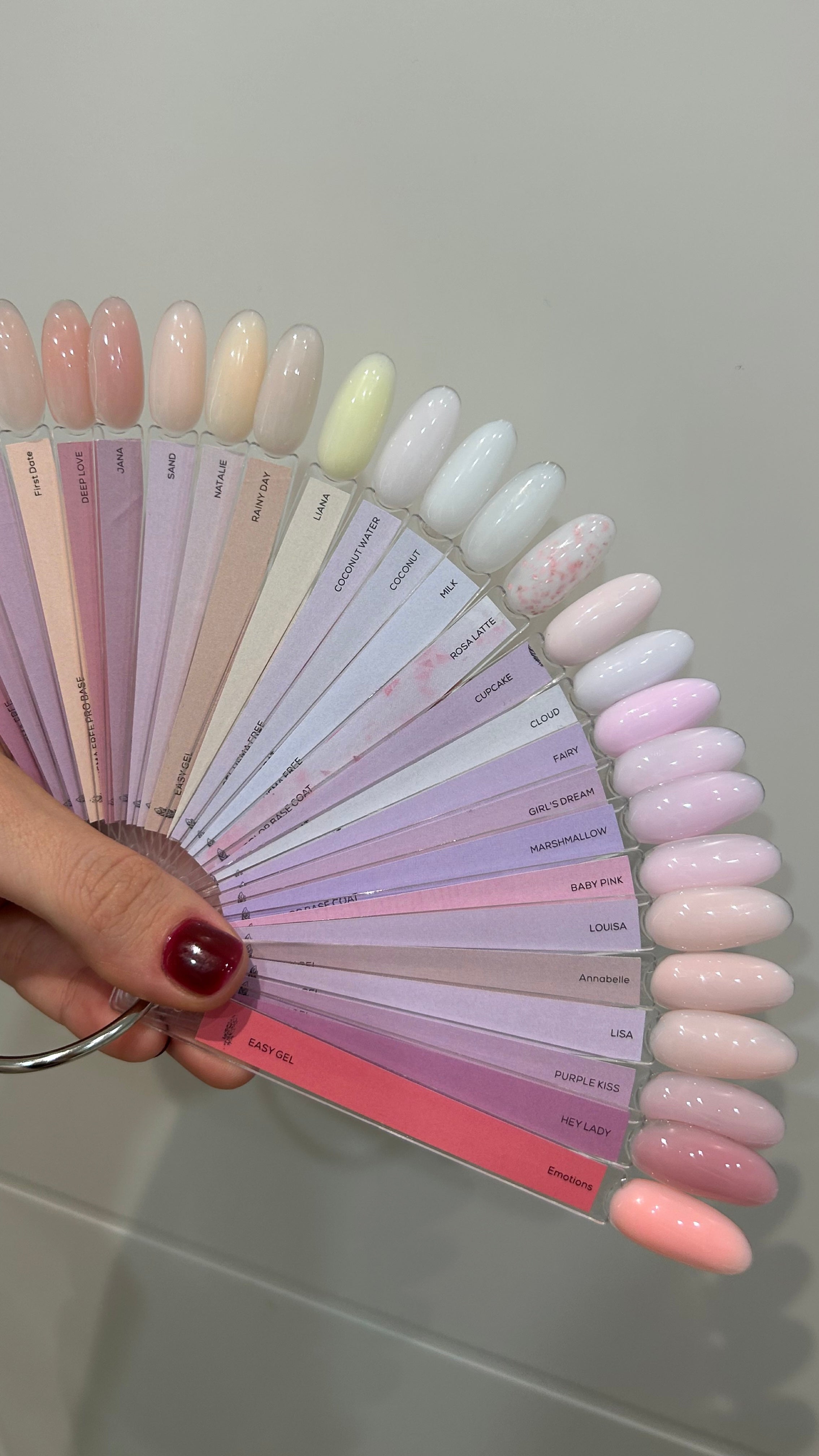 color palette