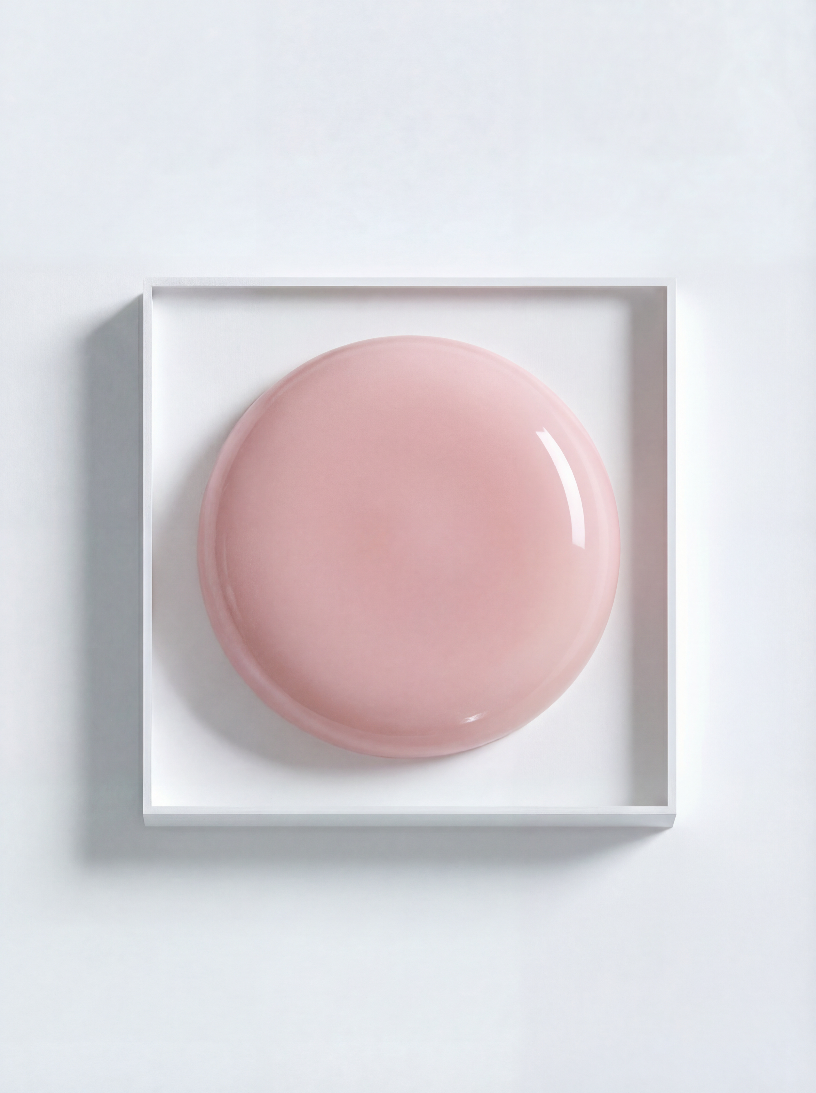 THE COLOR TO BUILD "Bianca"