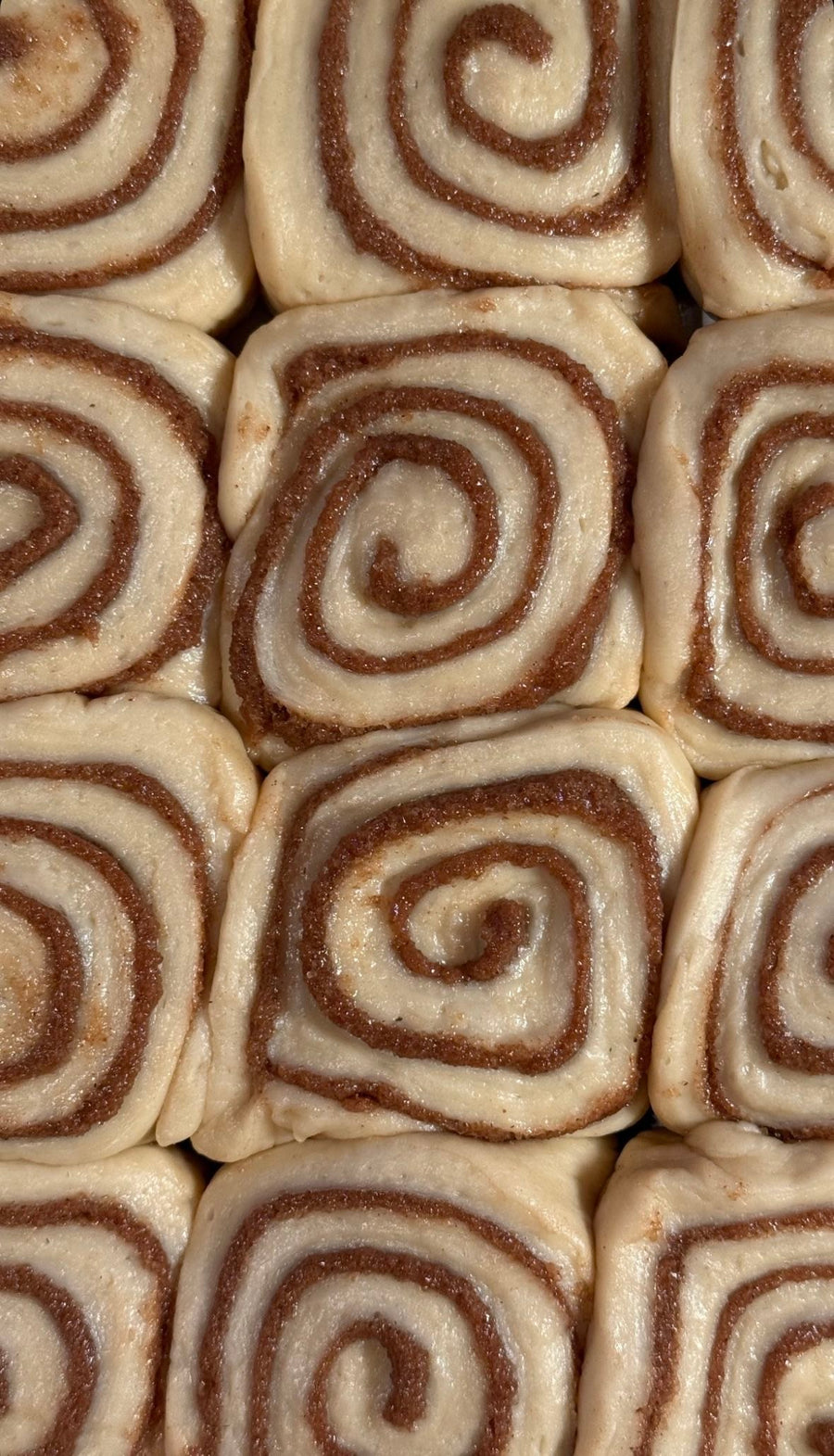 🥐 MOCHA & SOFT BROWN