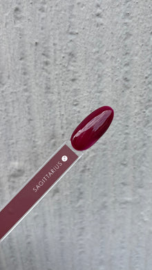 SAGITTARIUS/SCHÜTZE