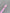 THE COLOR TO BUILD
 „Cancer/Krebs“