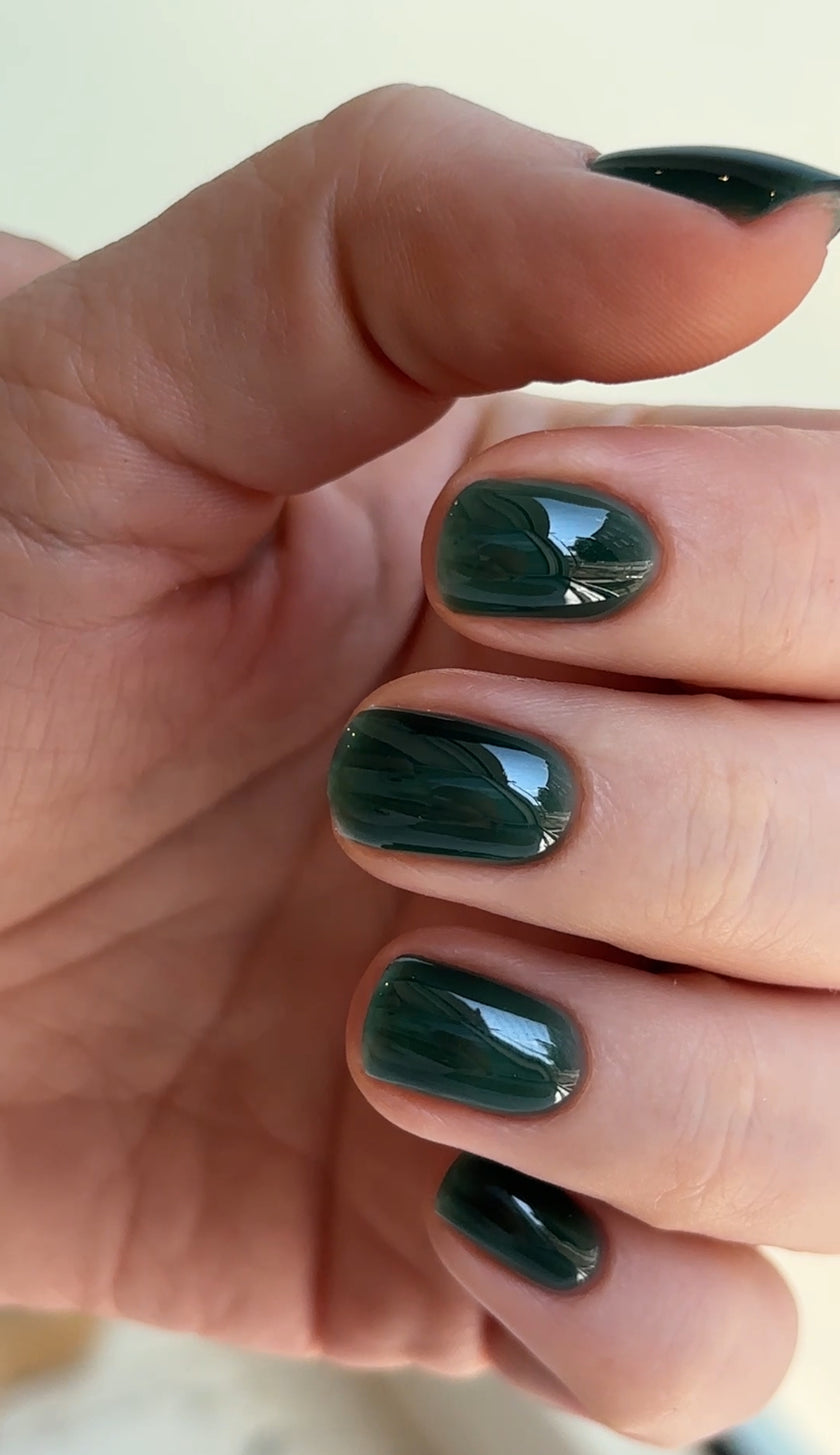 THE COLOR TO BUILD ''Nori''