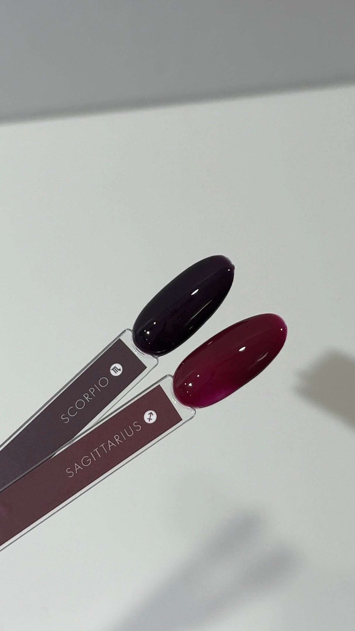 THE COLOR TO BUILD „Sagittarius/Schütze“
