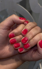 THE COLOR TO BUILD ''Raspberry'' Hema Free