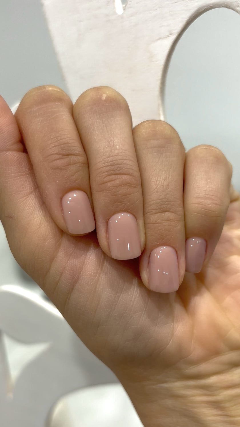 THE COLOR TO BUILD
 „Libra/Waage“