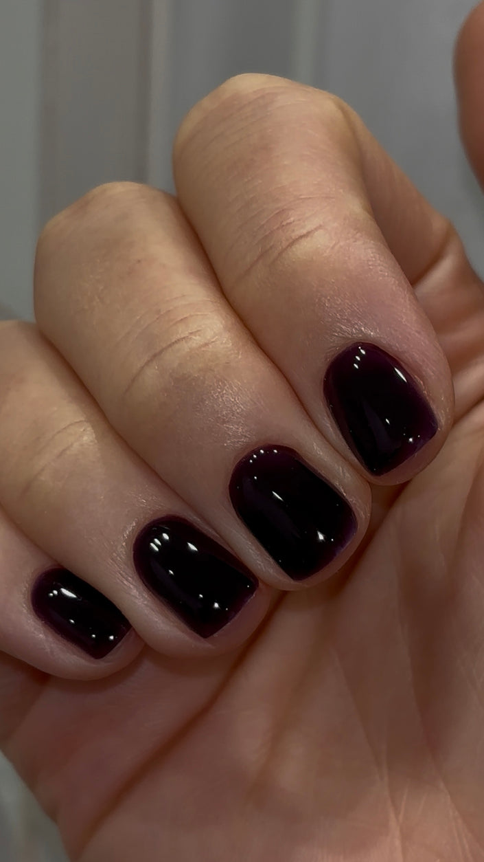 THE COLOR TO BUILD „Scorpio/Skorpion“