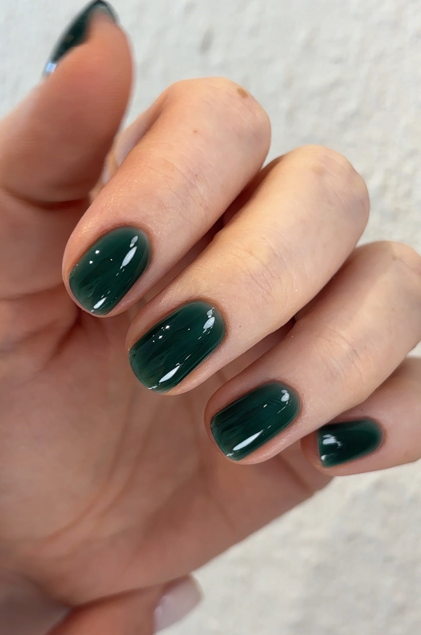 THE COLOR TO BUILD ''Nori''