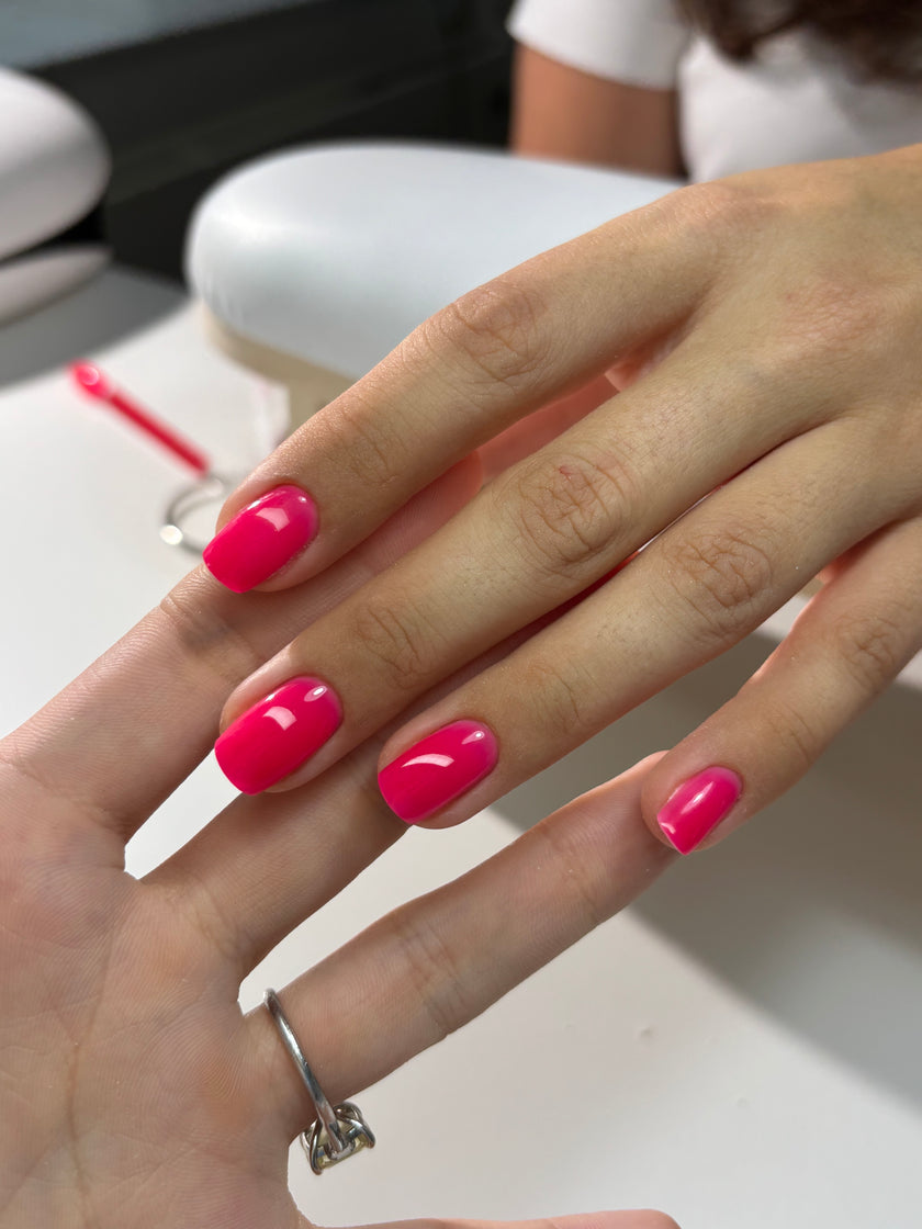 THE COLOR TO BUILD ''Raspberry'' Hema Free