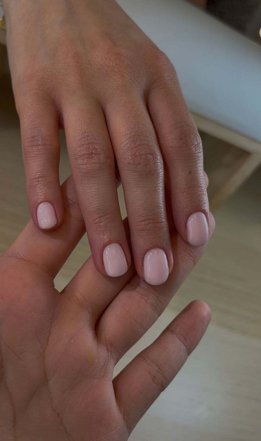 THE COLOR TO BUILD
 “piggy” 🐽