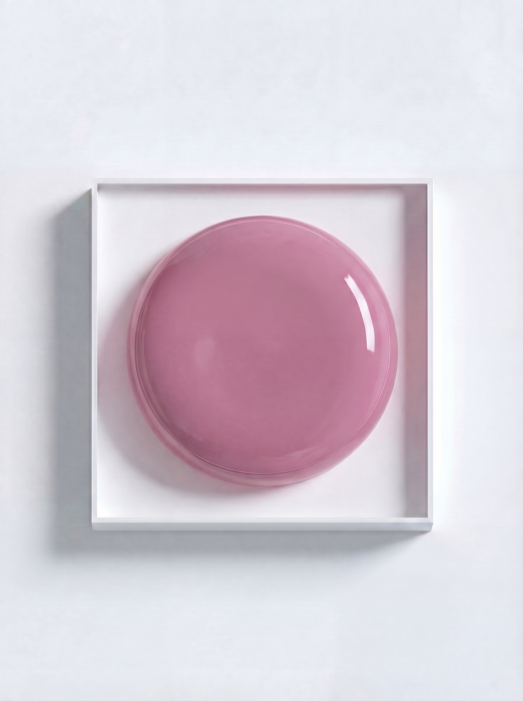 RASPBERRY MOUSSE